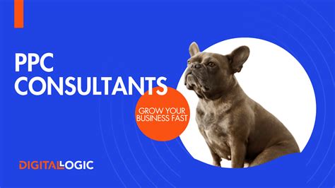 ppc consultant lexington|PPC Consulting .